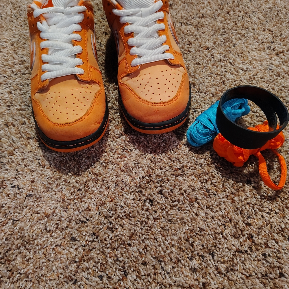 Nike SB Dunks Orange Lobster